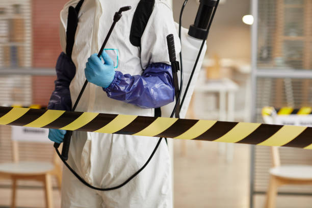Professional Sewage Cleanup technician working in Whitehouse Station, NJ